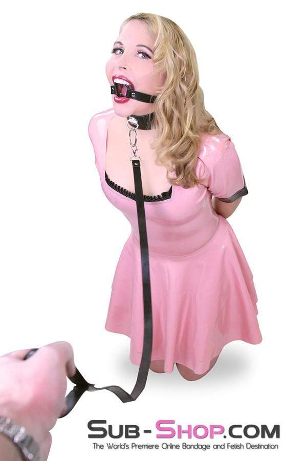 9069DL Led to the Bed Collar and Leash Set - Image 15