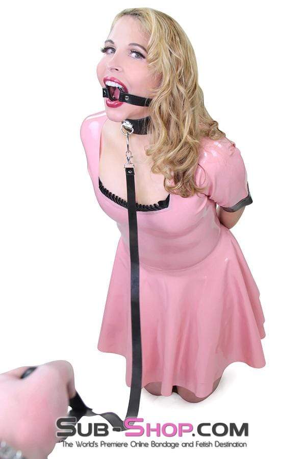9069DL Led to the Bed Collar and Leash Set - Image 22