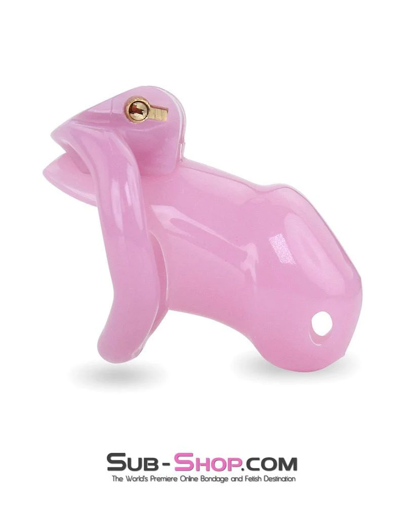 3744AE <b>BOGO!</b> Little Sissy Bitch Short High Security Keyed Tumbler Locking Male Chastity with 4 Base Cock Ring Sizes - Image 3