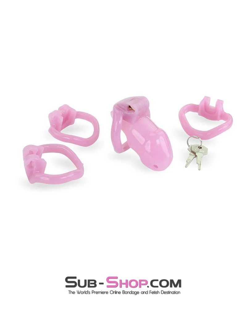 3744AE <b>BOGO!</b> Little Sissy Bitch Short High Security Keyed Tumbler Locking Male Chastity with 4 Base Cock Ring Sizes - Image 6