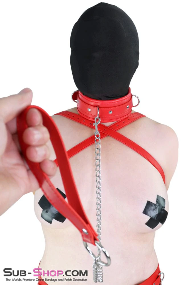 2497MQ Locking Padded Red Collar and Leash Set - Image 21