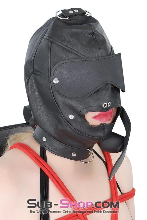 8814RS Matte Punishment Hood with Collar and Removable Blindfold & Gag