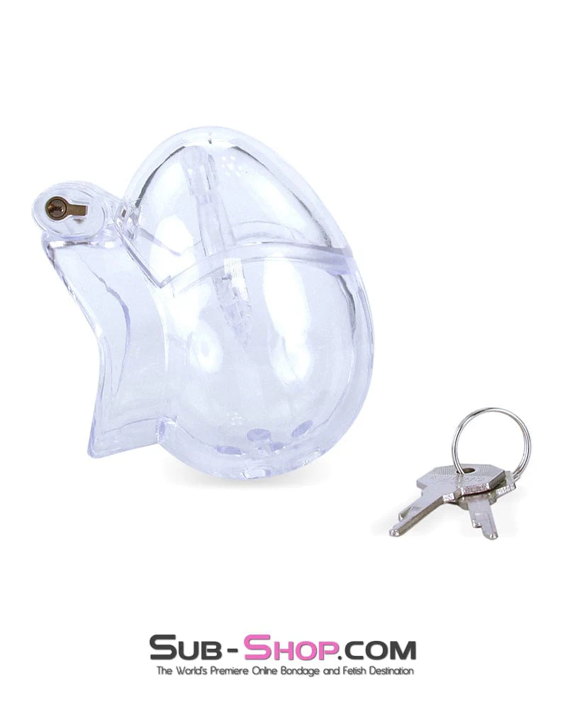 0741M Medium Egg Cock and Balls Chastity Cage with Spiked Anti Pull Off Ball Torture Ring