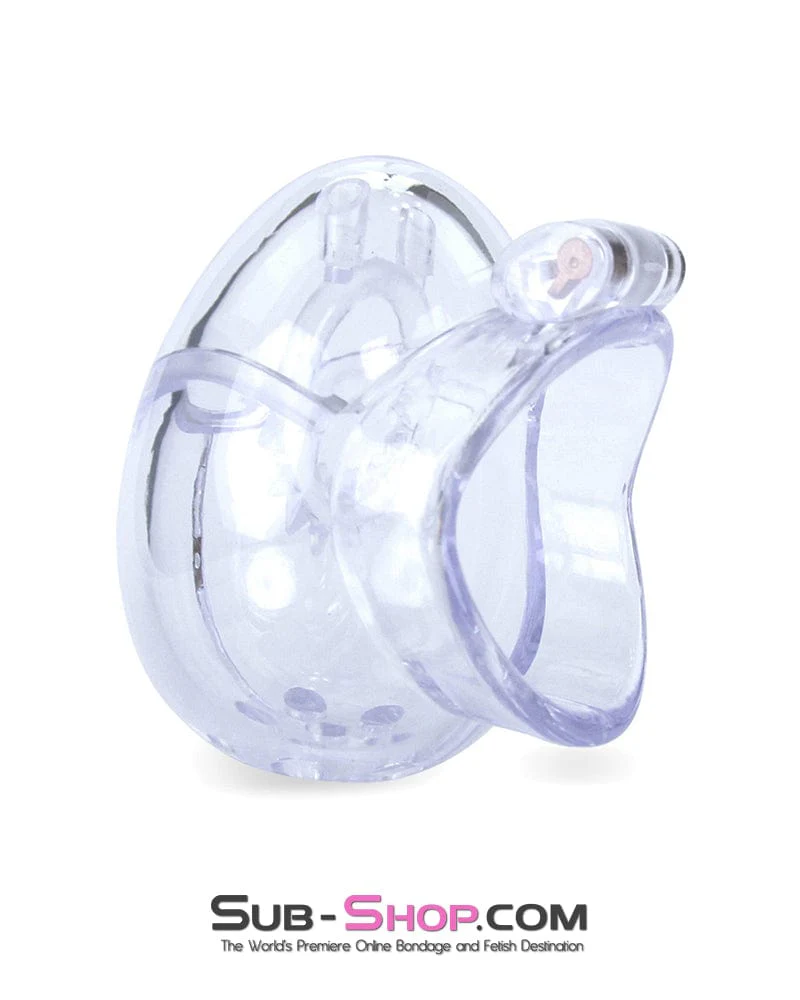 0741M Medium Egg Cock and Balls Chastity Cage with Spiked Anti Pull Off Ball Torture Ring - Image 2