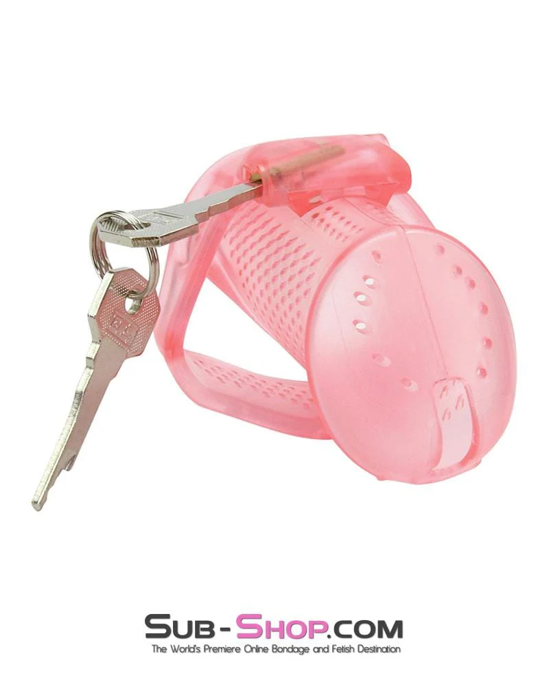 2463AR      Mistresses Sissy Slave Pink High Security Pin Tumbler Ventilated Male Chastity Device with Numbered Plastic Locks - Image 5