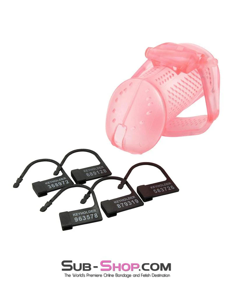 2463AR      Mistresses Sissy Slave Pink High Security Pin Tumbler Ventilated Male Chastity Device with Numbered Plastic Locks - Image 6