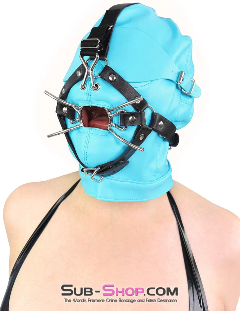 6900DL Nose Hook Strict Spider Ring Gag Trainer