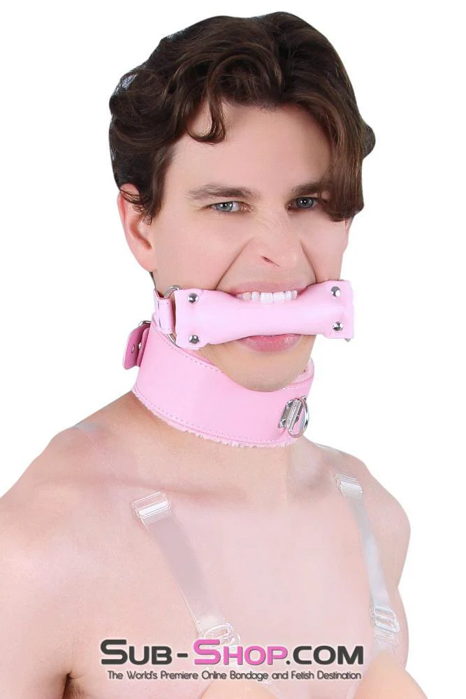 0536LT-SIS      Pink Furry Sissy Training Bondage Pretty Sissy Boi Slave Collar & Leash Set - Image 18