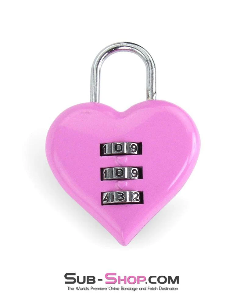 3307M Pink Heart Combination Bondage Gear Lock