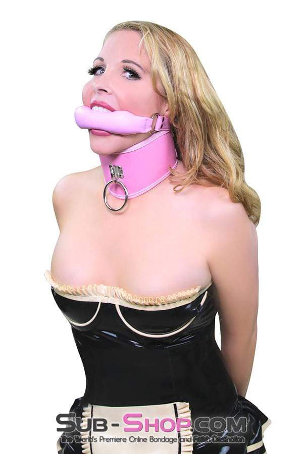 8976DL Pink Pet Posture Collar with Leash Set - Image 16