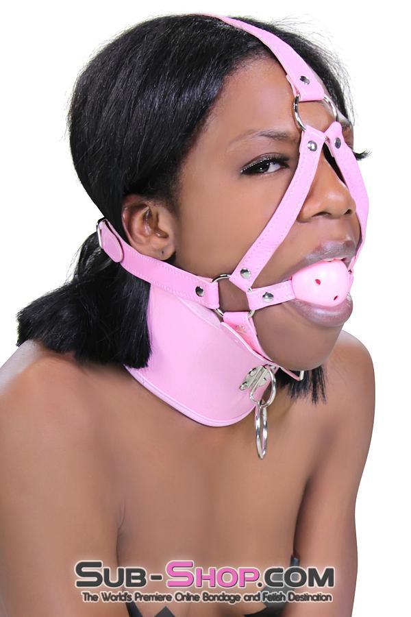 8976DL Pink Pet Posture Collar with Leash Set - Image 25