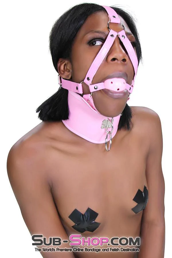 8976DL Pink Pet Posture Collar with Leash Set - Image 27