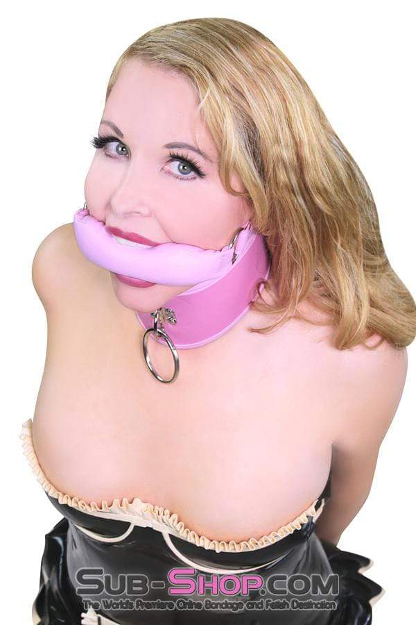 8976DL Pink Pet Posture Collar with Leash Set - Image 9