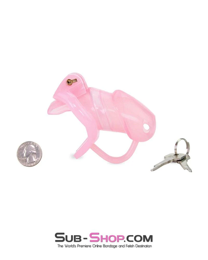 1358AR-SIS      Pink Sissy Cock Blocker Silicone Tease and Torment Locking Male Chastity with Ball Divider - Image 14