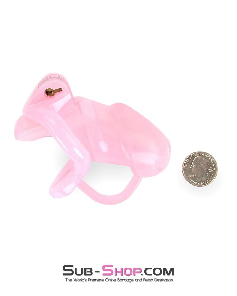 1358AR-SIS      Pink Sissy Cock Blocker Silicone Tease and Torment Locking Male Chastity with Ball Divider - Image 8