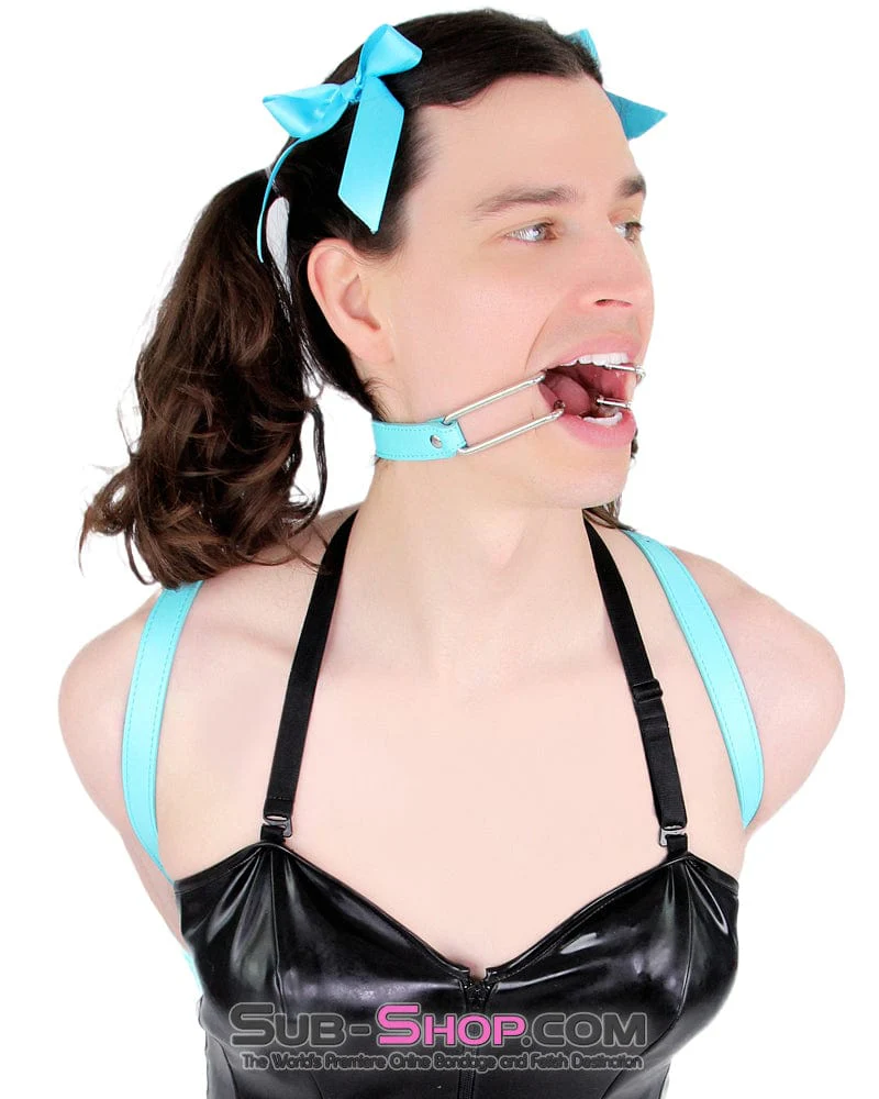 2698RS-SIS Pretty Sissy Boi, You Are the BDSM Mistress One! Spreader Gag - Image 3