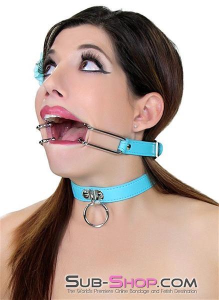2698RS-SIS Pretty Sissy Boi, You Are the BDSM Mistress One! Spreader Gag - Image 7