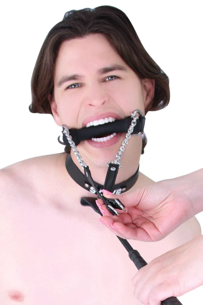 0888MQ-SIS      Pretty Sissy Chastity Sissy Slave Bondage Black Strap Silicone Bit Gag with Reins - Image 13