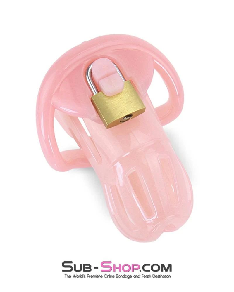 1533AR      Prison Bitch Pink Jailhouse Cock Locking Male Chastity Cage - MEGA Deal - Image 3