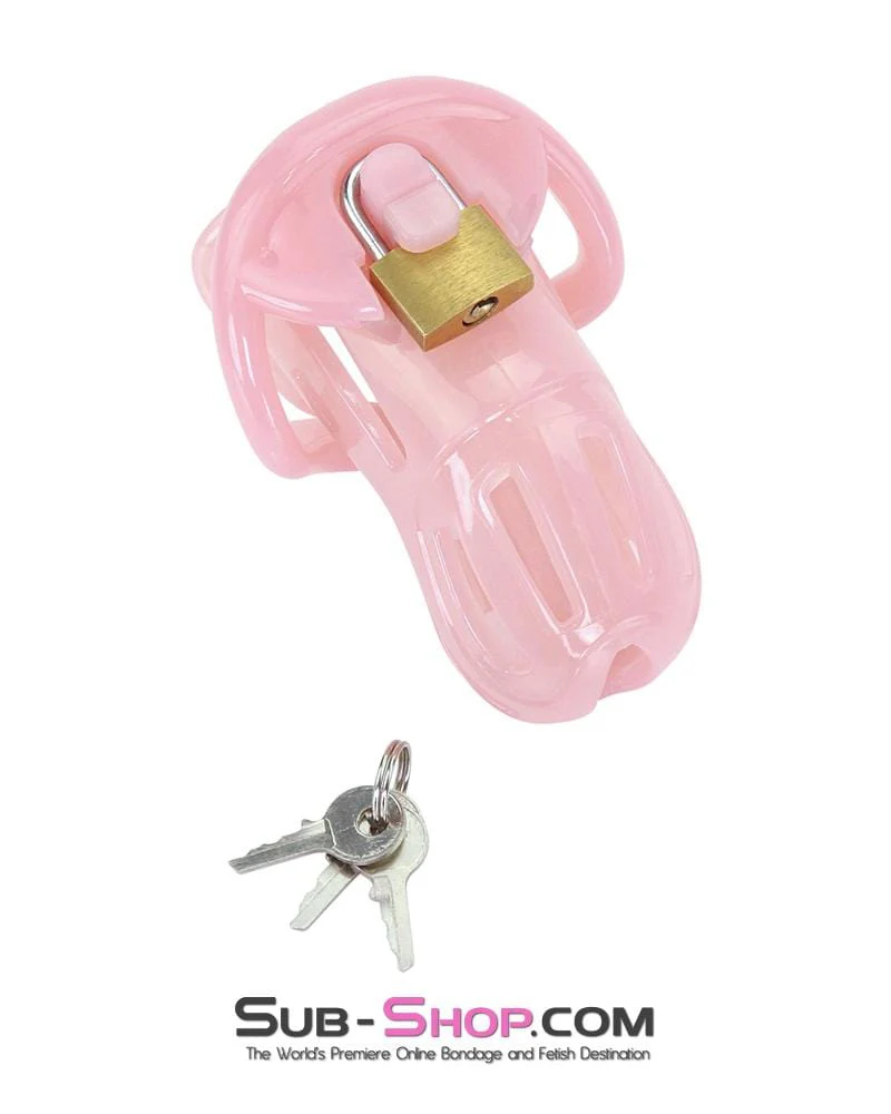 1533AR      Prison Bitch Pink Jailhouse Cock Locking Male Chastity Cage - MEGA Deal - Image 6