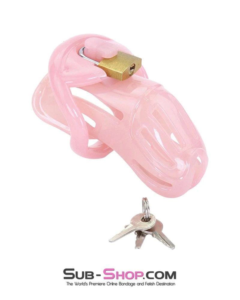 1533AR-SIS Prison Sissy Bitch Pink Jailhouse Cock Locking Male Chastity Cage