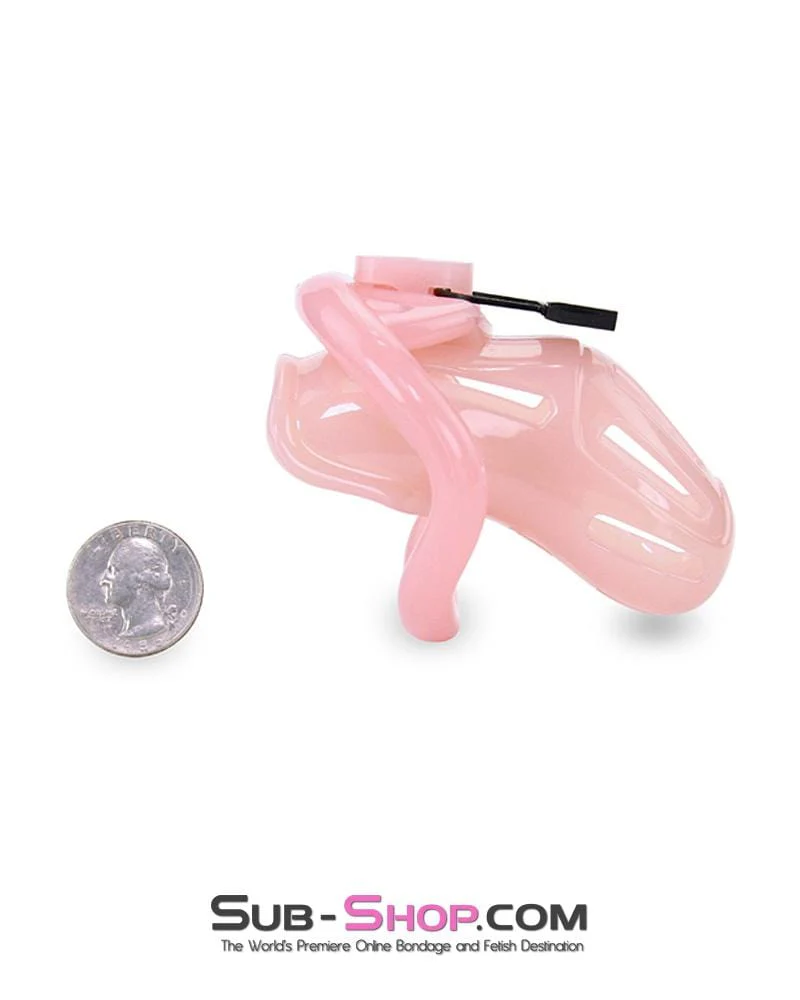 1533AR-SIS Prison Sissy Bitch Pink Jailhouse Cock Locking Male Chastity Cage - Image 4