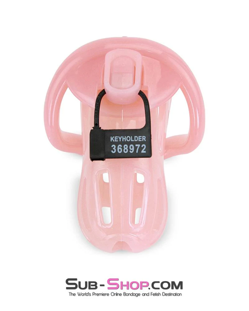 1533AR-SIS Prison Sissy Bitch Pink Jailhouse Cock Locking Male Chastity Cage - Image 6