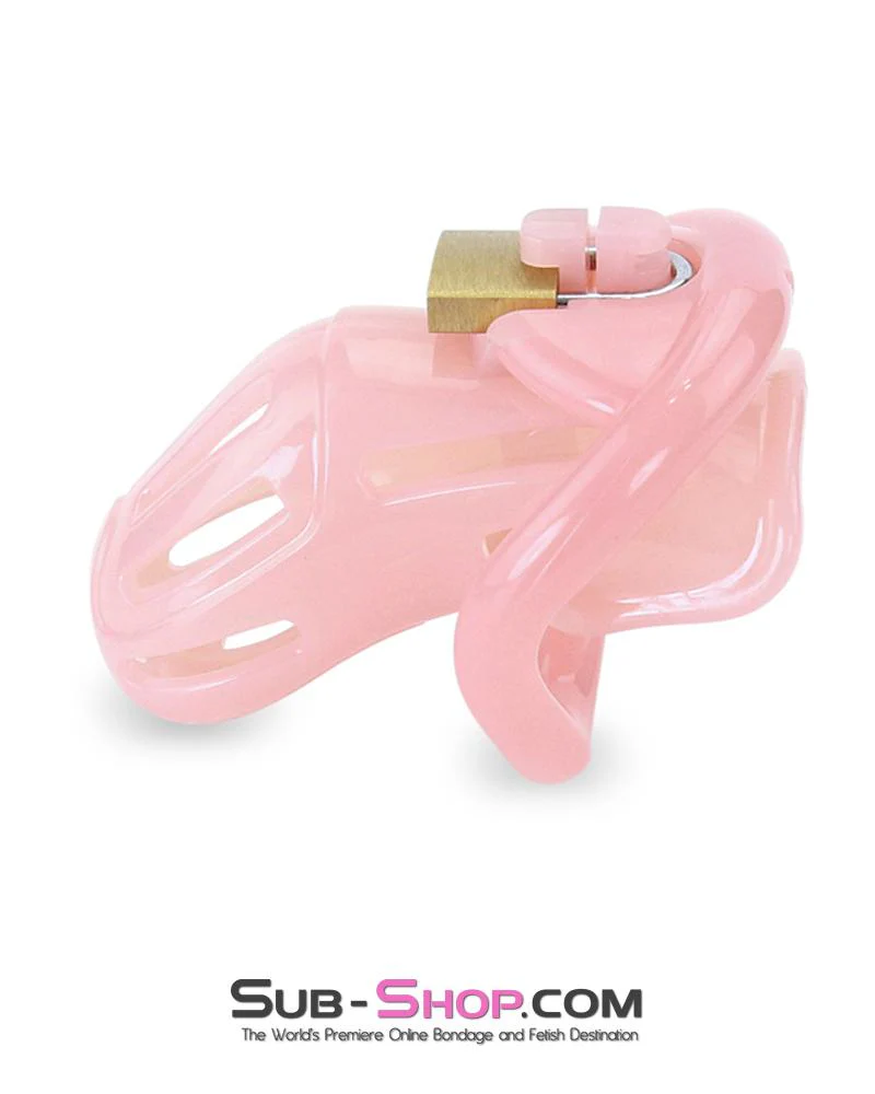 1533AR-SIS Prison Sissy Bitch Pink Jailhouse Cock Locking Male Chastity Cage - Image 8
