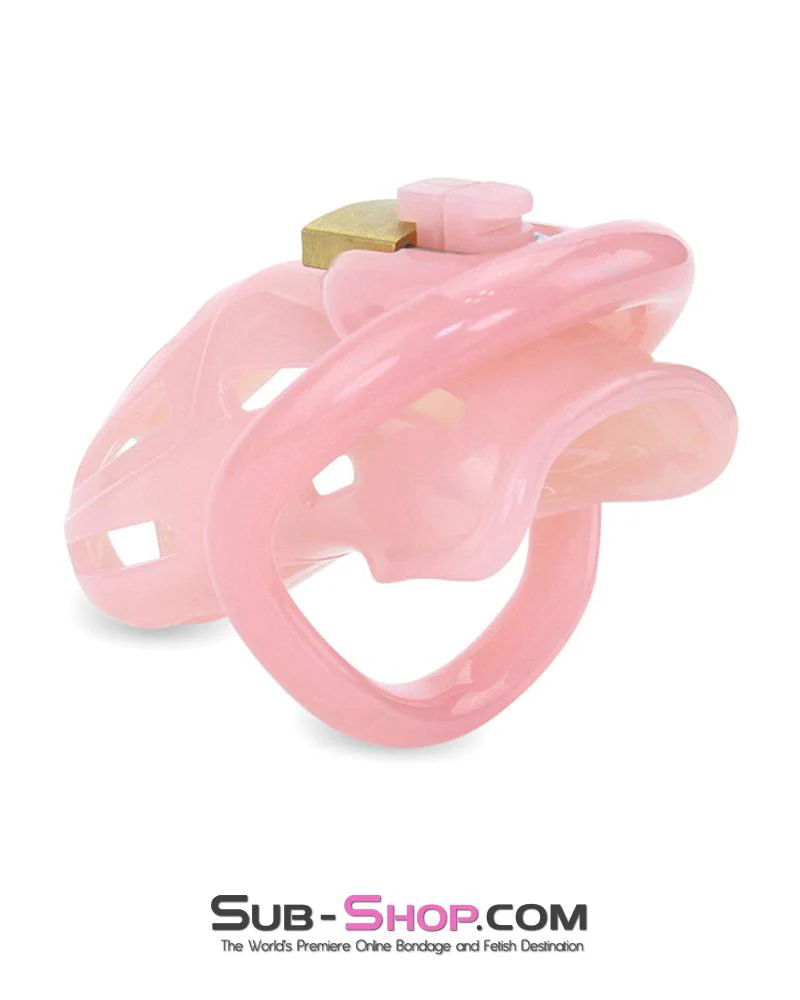 1533AR-SIS Prison Sissy Bitch Pink Jailhouse Cock Locking Male Chastity Cage - Image 9
