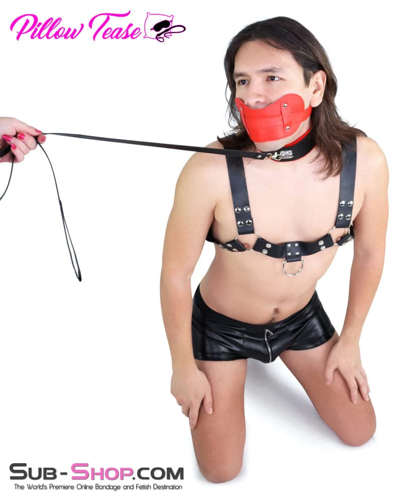2479DL Red Stuffed Plug Panel Style Bondage Gag - Image 12
