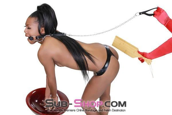 4716RS      Silicone Bit Gag with Leash Reins Set - Image 35