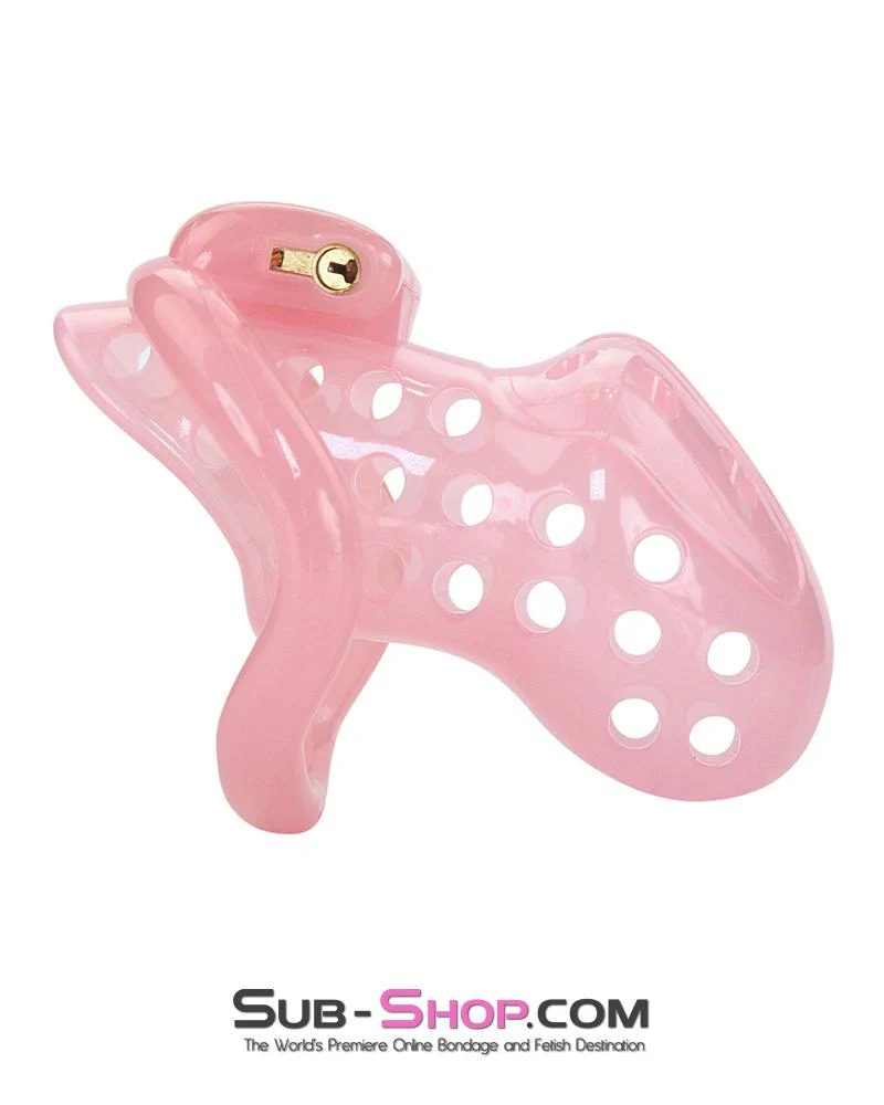 1432AR-SIS Sissy Boy Toy Pink High Security Pin Tumbler Locking Cock Cage Chastity - Image 3