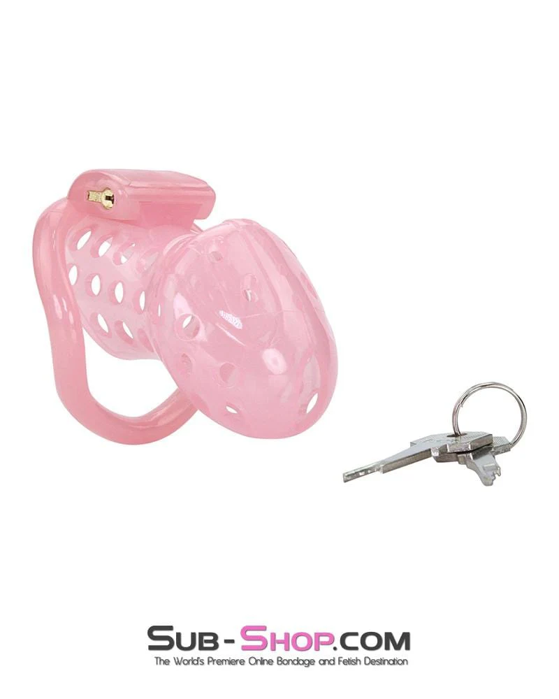 1432AR-SIS Sissy Boy Toy Pink High Security Pin Tumbler Locking Cock Cage Chastity - Image 9