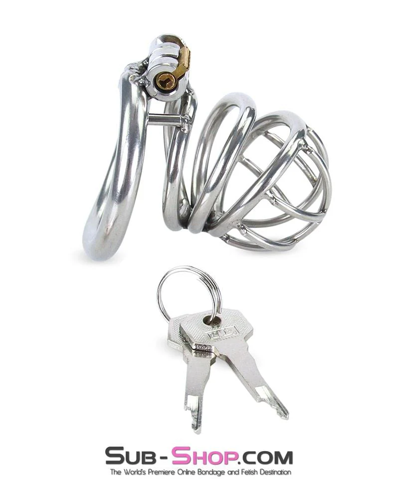 6982RS-SIS The Observatory High Security Tumbler Style Locking Steel Male Chastity Device - Image 6