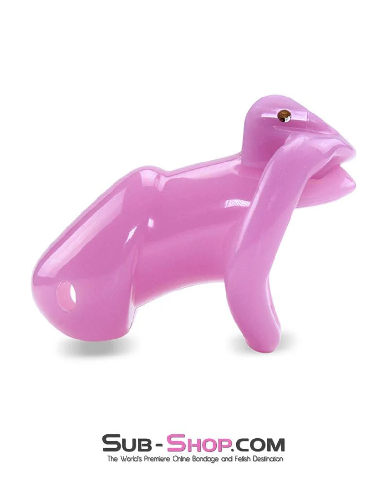 0396AE-SIS Sissy Bitch Boi High Security Keyed Tumbler Locking Male Chastity with 4 Base Cock Ring Sizes - Image 5