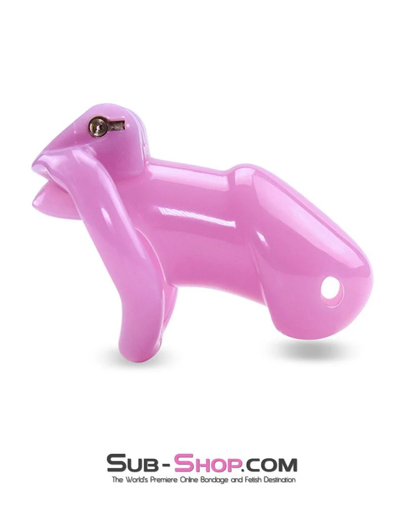 0396AE <b>BOGO!</b> Sissy Bitch High Security Keyed Tumbler Locking Male Chastity with 4 Base Cock Ring Sizes - Image 2