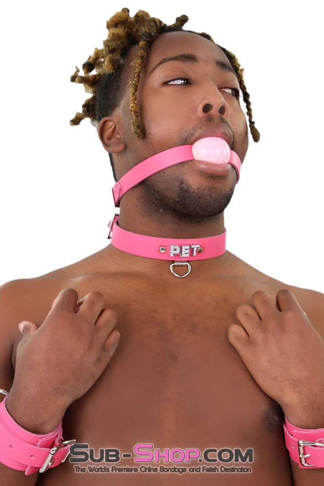 2541A-SIS Sissy Boi Bitch Hot Pink Classic Leather Ball Gag Dominant Woman Strap, Candy Pop Pink Ball