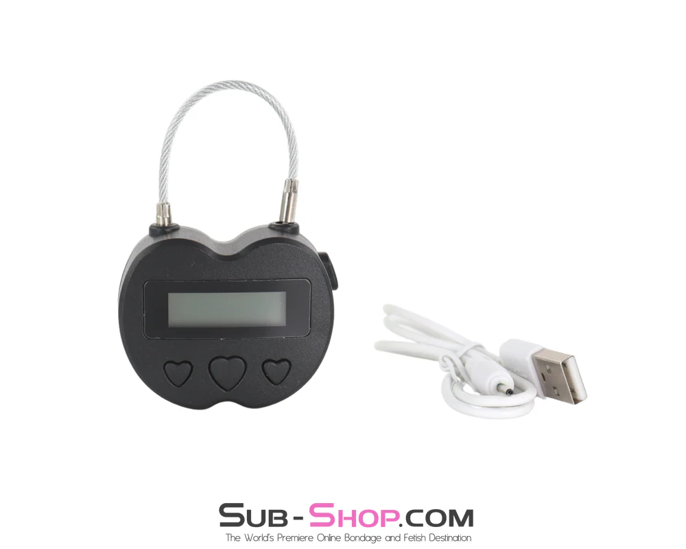 2747M-SIS Time Lock Accessory USB Rechargeable Lock, The Forced Feminization Fantasy Female Domination Ultimate Self Bondage Lock - Image 2