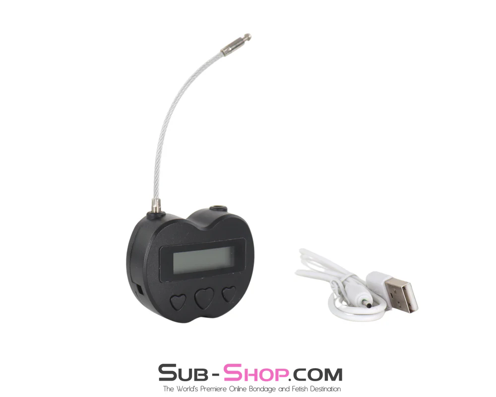 2747M-SIS Time Lock Accessory USB Rechargeable Lock, The Forced Feminization Fantasy Female Domination Ultimate Self Bondage Lock - Image 4