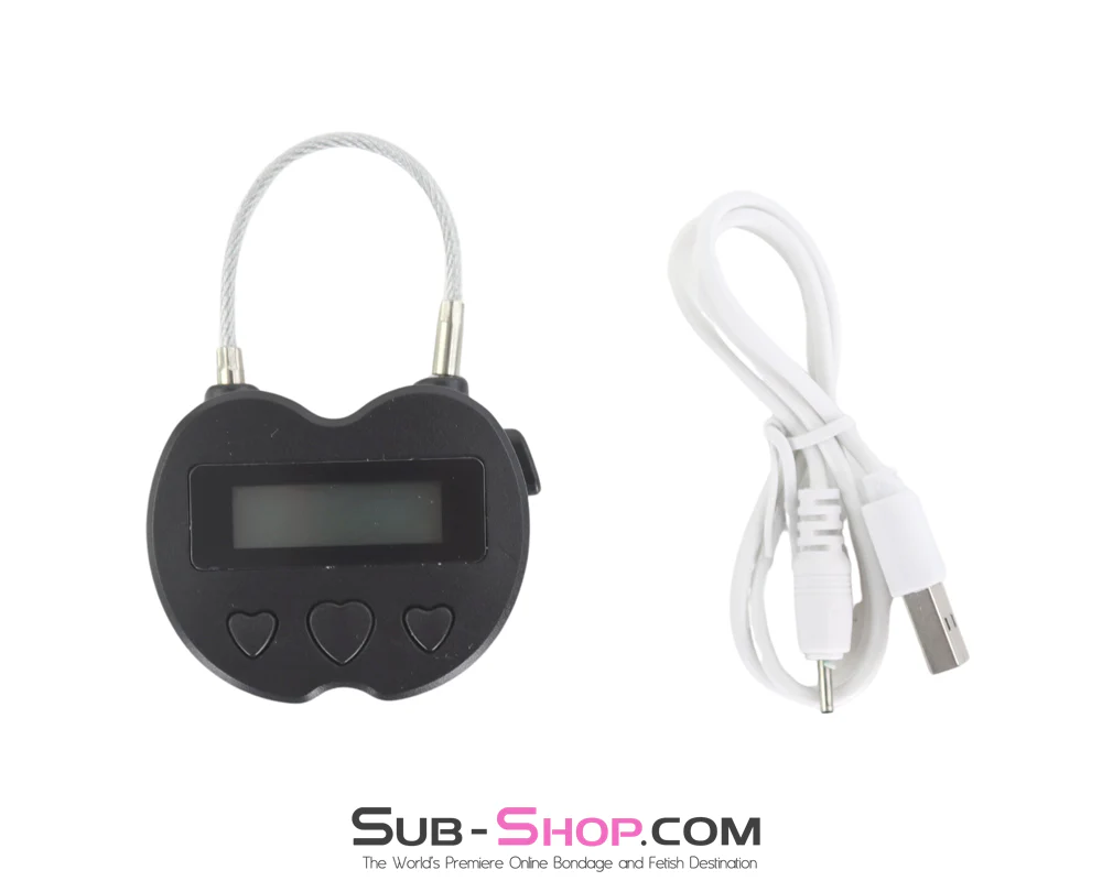 2747M-SIS Time Lock Accessory USB Rechargeable Lock, The Forced Feminization Fantasy Female Domination Ultimate Self Bondage Lock - Image 5