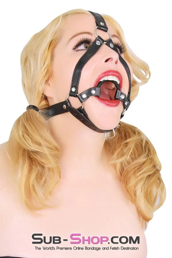 4423BD-SIS      Sissy Boi Trap Wrapped Ring Gag Sissy Humiliation Trainer Harness - Image 2