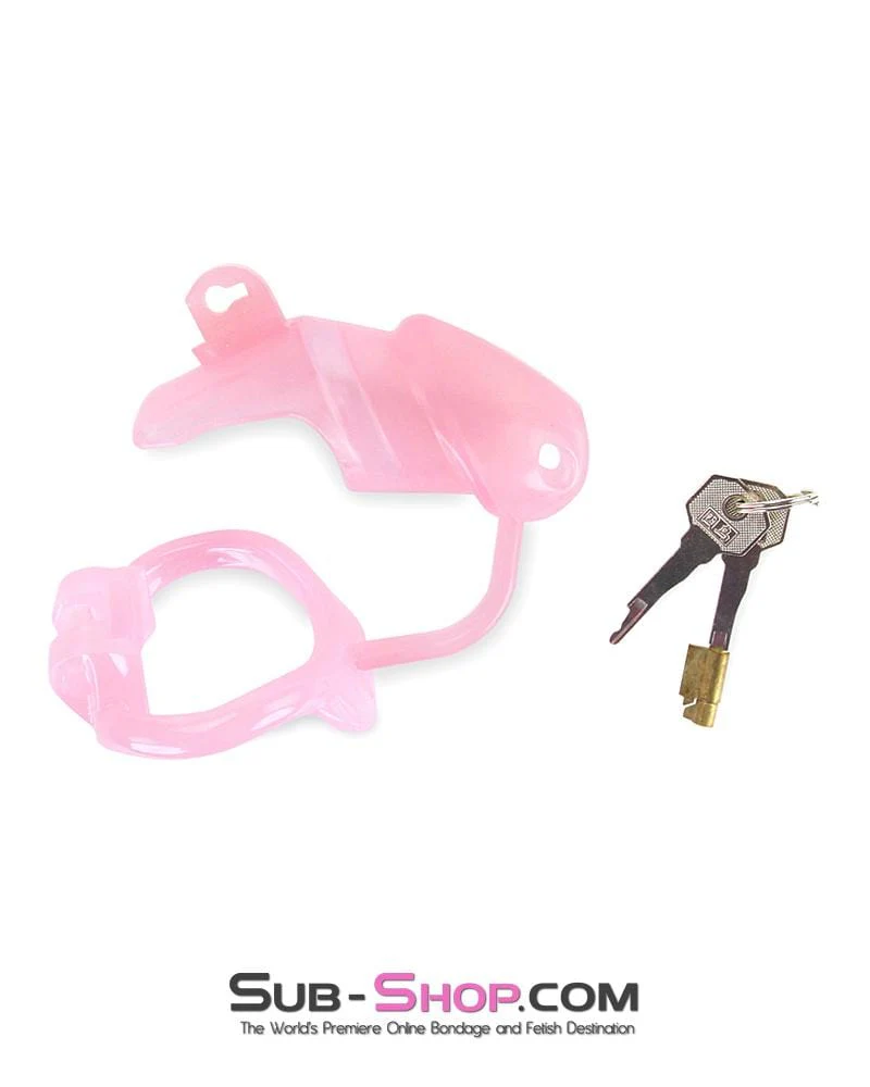 1358AR      Sissy Cock Blocker Silicone Tease and Torment Locking Male Chastity with Ball Divider - Image 15
