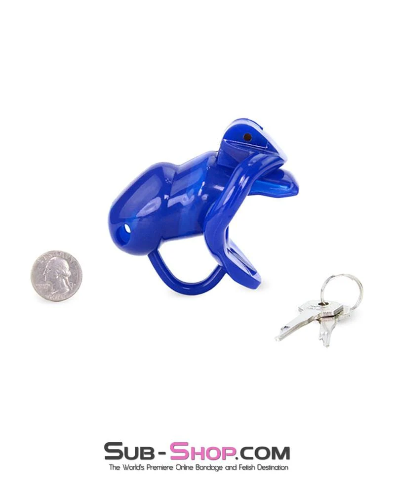 1386AR-SIS      Sissy Cocktease Blue Balls High Security Locking Male Chastity Device with Ball Divider - Image 10