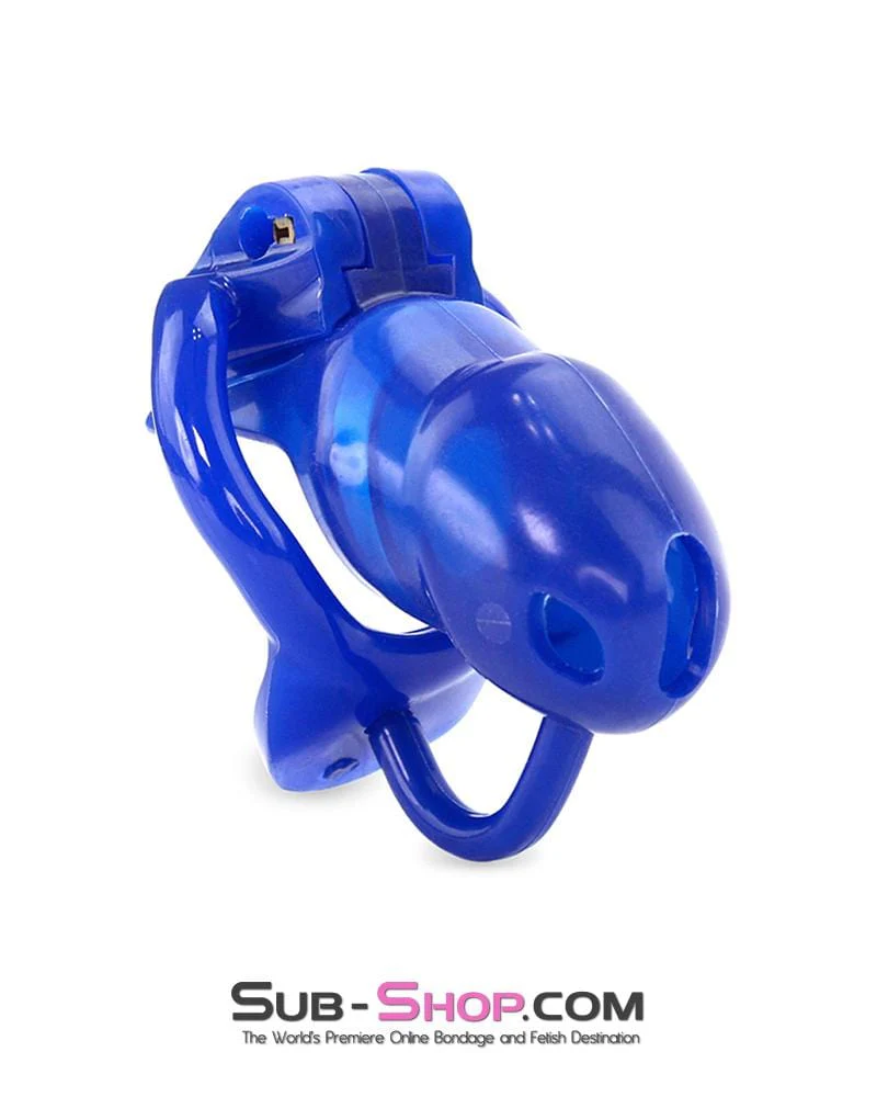 1386AR-SIS      Sissy Cocktease Blue Balls High Security Locking Male Chastity Device with Ball Divider - Image 4