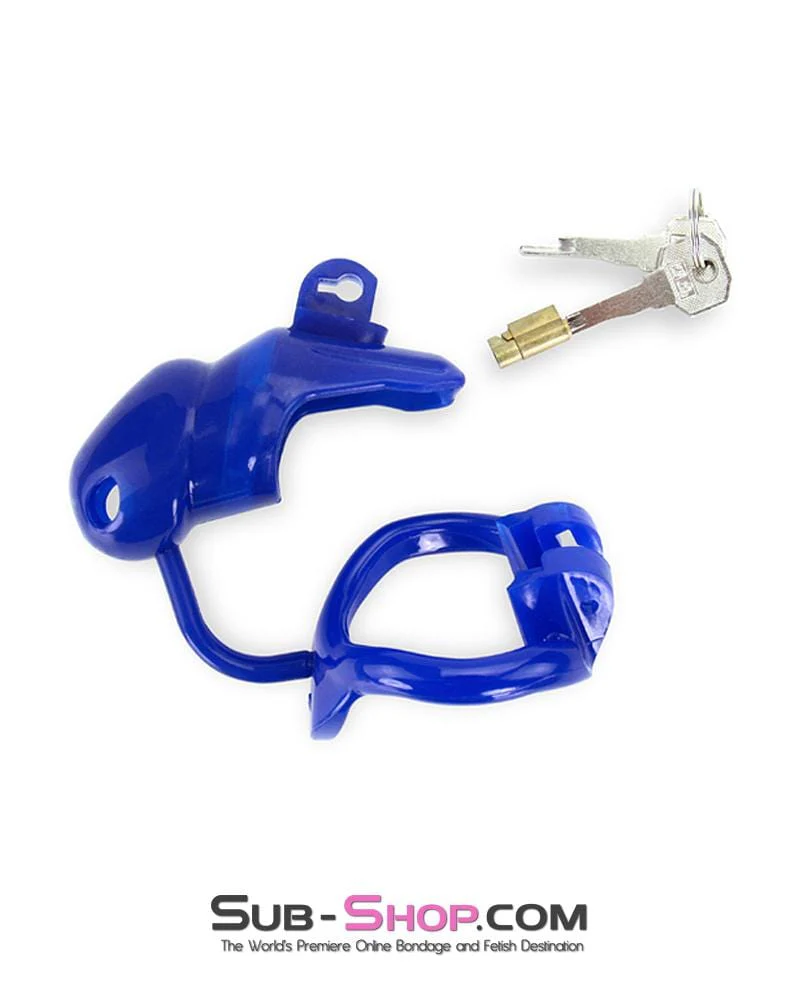 1386AR-SIS      Sissy Cocktease Blue Balls High Security Locking Male Chastity Device with Ball Divider - Image 9