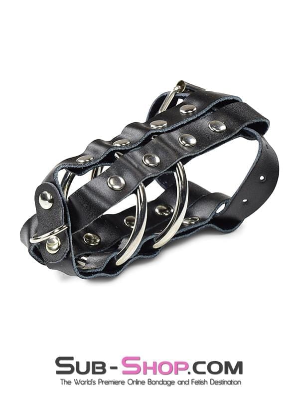 1797DL-SIS Sissy Minx Lockable Cock & Balls Cage with Lead Ring Tip - Image 3