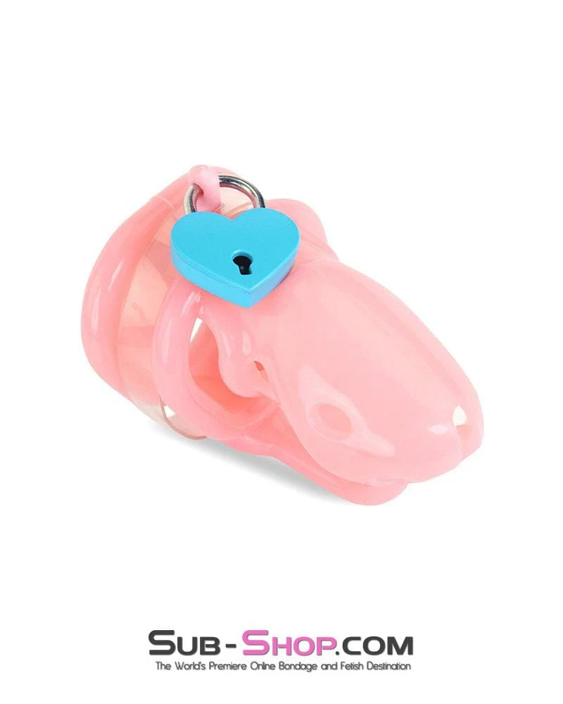 9794M      Sissy Pink Birdlocked Style Spiked Soft Silicone Locking Male Chastity - Image 8