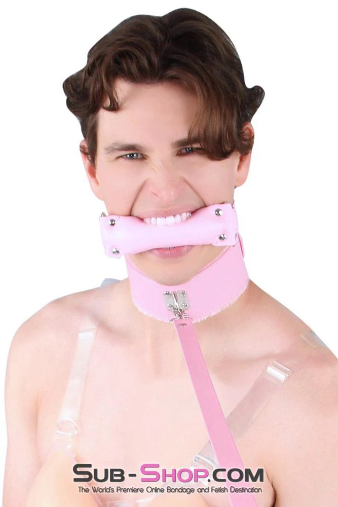 8956DL-SIS      Sissy Slave Harlot Sissy Hypnosis Stuffed Pink Bit Gag - Image 11