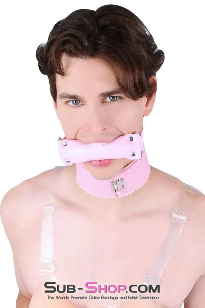 8956DL-SIS      Sissy Slave Harlot Sissy Hypnosis Stuffed Pink Bit Gag - Image 2