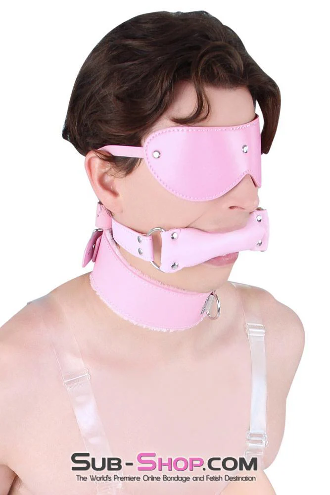 8956DL-SIS      Sissy Slave Harlot Sissy Hypnosis Stuffed Pink Bit Gag - Image 23